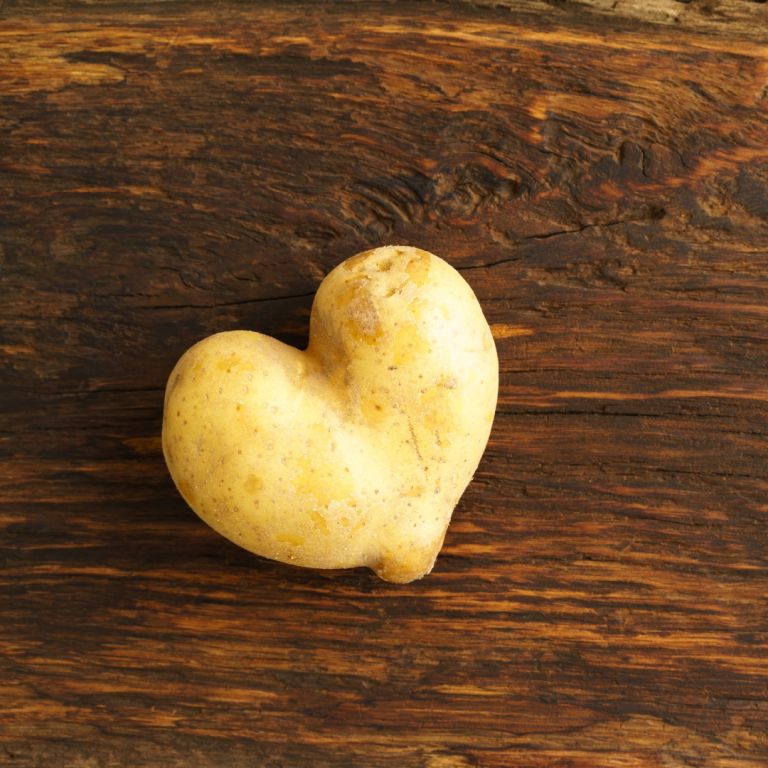 Les variétés de pommes de terre - Le Jardin de Laborde