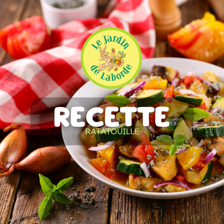 Recette de Ratatouille - Le Jardin de Laborde